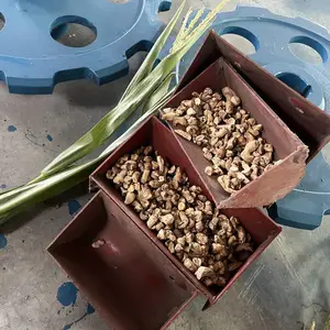 ʢ����˿����������϶���ʽ�������ζ��϶���ĥ�϶�������ʯ��ʯƤ����ʽ�������ڶ�