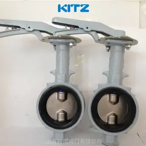 现货供应PN16DJ蝶阀 KITZ球墨铸铁DJ型蝶阀，北泽蝶阀，北泽PN16DJ蝶阀