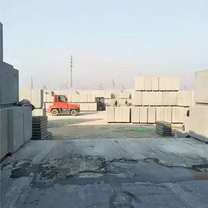 ������ѹ������B06-A3.5������ ǽ��ṹר�ô����ѹש