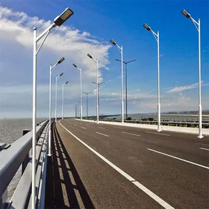 芯鹏达定制杆装3米公路照明LED小金豆路灯头50WXPD-JD14