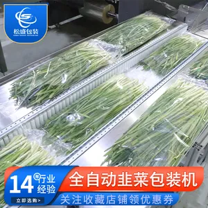 枕式韭菜包装机自动茎类果蔬封口机伺服气动蔬菜分装机
