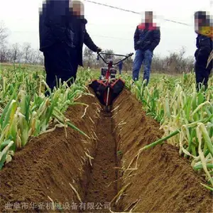 ũ��С�Ϳ����� �ڽ�����¢�� �ִ���⹵������
