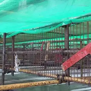 珩键邦钢笆网批发(图)-钢笆网定制厂家-渝中钢笆网