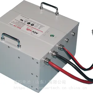 磷酸铁锂电池EV48-40 (带引出开关功能) HAWKER 备件