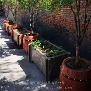 ��������ľ���� С����ֲ��ľ���۲ɹ� �ֵ�������ֲ���ϻ���