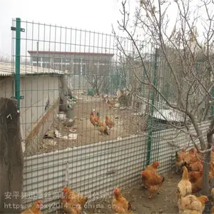 ����������ֳΧ��A����Ȧ��Χ��AѸӥ������ֳ����������