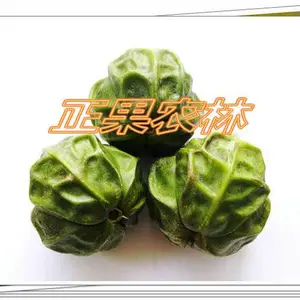 �����²�ǧ��ͩ���Ӿ�ѡ���й�Ӧ