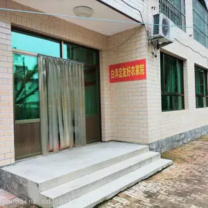 白洋淀半日游 白洋淀二日游 白洋淀民宿 白洋淀捕鱼 白洋淀民宿多少钱
