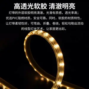�ʵ���˹���LED������������������װ�εƴ�24V��ѹ���۵�������