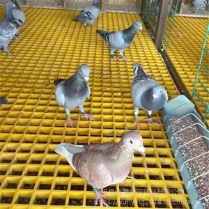 Ѹӥ ����ϴ�������ǰ�A����ߵ����դA������ֳ����©���