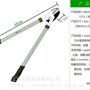 ��ʩworth԰�ո�֦����֦�������֦����֦�����ձ����ڵ�Ƭ1215