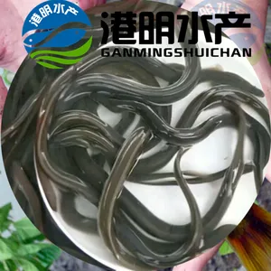 �������ʲô����-����ź����� ����ˮ��������Ӧ������ Ѫ������