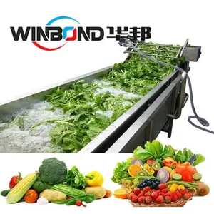 华邦 果蔬清洗机 高压喷淋蔬菜清洗机 净菜加工设备 仿手工清洗不伤物料 支持定制