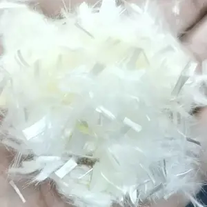 三醋酸纤维 进口三醋酸纤维 造纸用三醋酯纤维 6mm