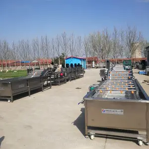 商用果蔬清洗机 净菜清洗机 桑芽菜清洗机 鼓泡清洗机 振霖各类清洗设备