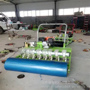 ����4�аײ˲��ֻ� ������߲˾����� �������Ϻ�����ֲ��