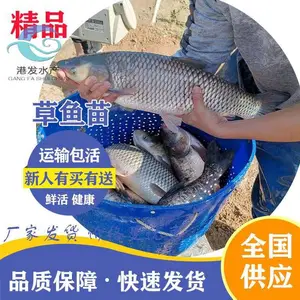 ����ˮ������� �������� ��ɫ��������ع��� �ɻ�� �ṩ����ָ��