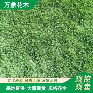 ���Ʋݲ�ƺ��Ƥ �������μ� �ͼ�̤��ˮʪ�� �˶�������