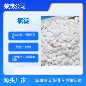 泡腾速溶片 50%含量氯锭 泳池水 澡堂 宾馆消毒剂氯片 1克 2克片状 荣茂