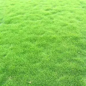 ��������Ƥ ������������ƺ ��������Ƥ����