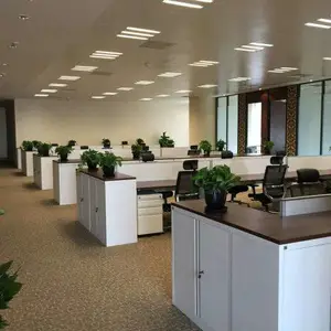 花卉租赁,绿植租摆,办公室写字楼绿植租赁 绿植销售