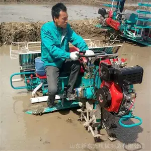 ũ��������岥�� �ߵ�������ʽˮ�������� ˮ��������ֲ��
