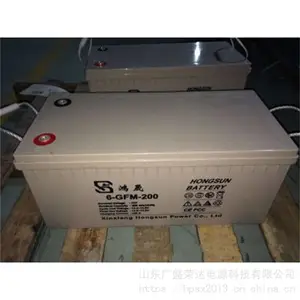鸿晟蓄电池6-GFM-55 12V55AH总代理