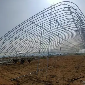 山东15米宽度双拱梁钢骨架无后墙型温室总共多少钱