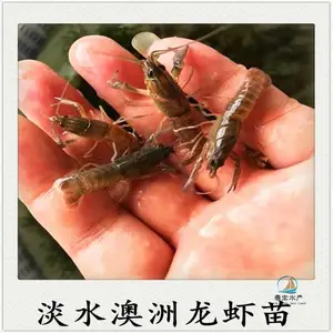 ��ˮ��Ϻ ��ˮ��ֳ�߽�Ϻ ����Ϻ��߲���