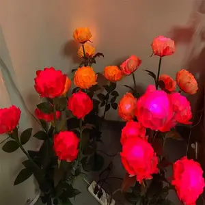 õ�廨�ز�� �����ˮ����ˮ��ˮĸ�ƾ���ͥԺװ��������ƺ�Ƴ���