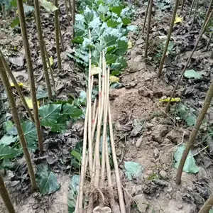 1�׸���5�׸�³��9��������,ɽ���ൺ����һ����107���������,��������ر���