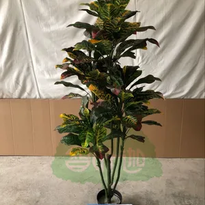 ���澰����ľ����5��5��124Ҷ�����ţ������裩
