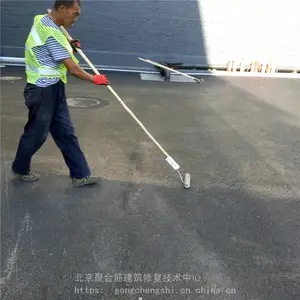 ɰ�������Ĩ�Ҳ�չĴ���