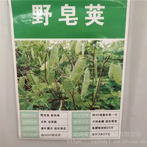 �����²�ժ��ľ���� Ұ�������� ��ѿ*** �۸���� ***
