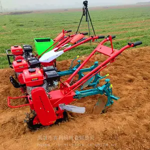 ����С������΢���� �Ĵ�ʽ��ת��ػ� С�Ϳ�������΢����