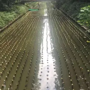 仿生水草