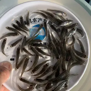 ����ˮ��������������̬������ѡƷ��ȫ������ȫ�����ļ���֧�ֱ���