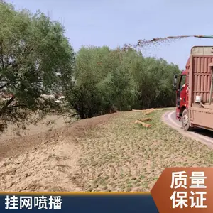 边坡绿化工程施工队 团粒客土喷播 挂网植草护坡 网喷草灌 矿山复绿