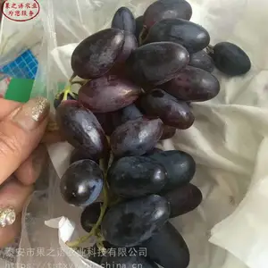 ��������ء������������硢��������ʯ�������ֻ�