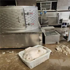 圆筒牛头蹄烫脱一体机 可试机的驴蹄驴头烫毛脱毛干净的去毛机