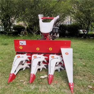 �������׽ոѸ�� �����ջ�Ѹ�����ո�� ��¢��ժ���
