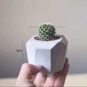 �Ϻ����㽭�����ж��⻨��轺ģ��ˮ�໨��ģ��
