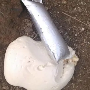 ����ɢ��׼� ����ɢ��׼�Ʒ������