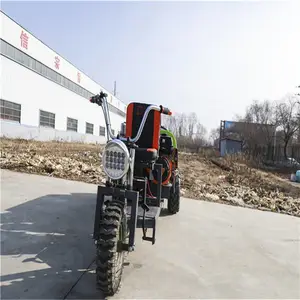 ���ֹ����˷��ʹ�ҩ�������� ��ҩ�����ձ���