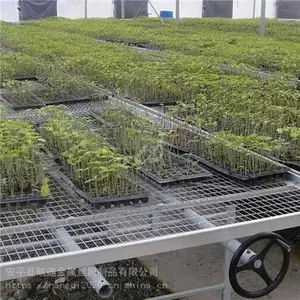 �����紲��ʩ�ƶ��紲����ũҵ����ĵ�������