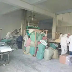 金属探测仪除铁器