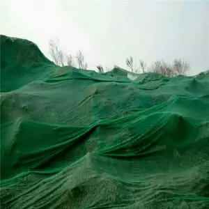����ɸ���̻��������� ��ɫ���������� �������Ƿ�����