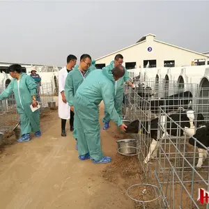 �Ƹ��� ţס�޼۸� ��ţ������ ��ţ�� ����ֱ��