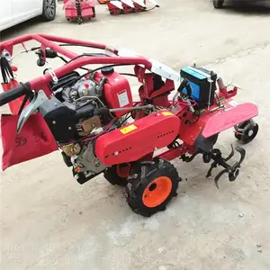 �����԰������ ����������ػ� ����Ƥ����΢����
