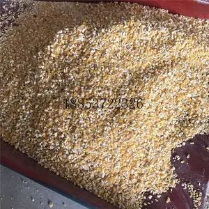Ϋ���綯�����ʳ��������������������������ֳ�����Ϸ����
